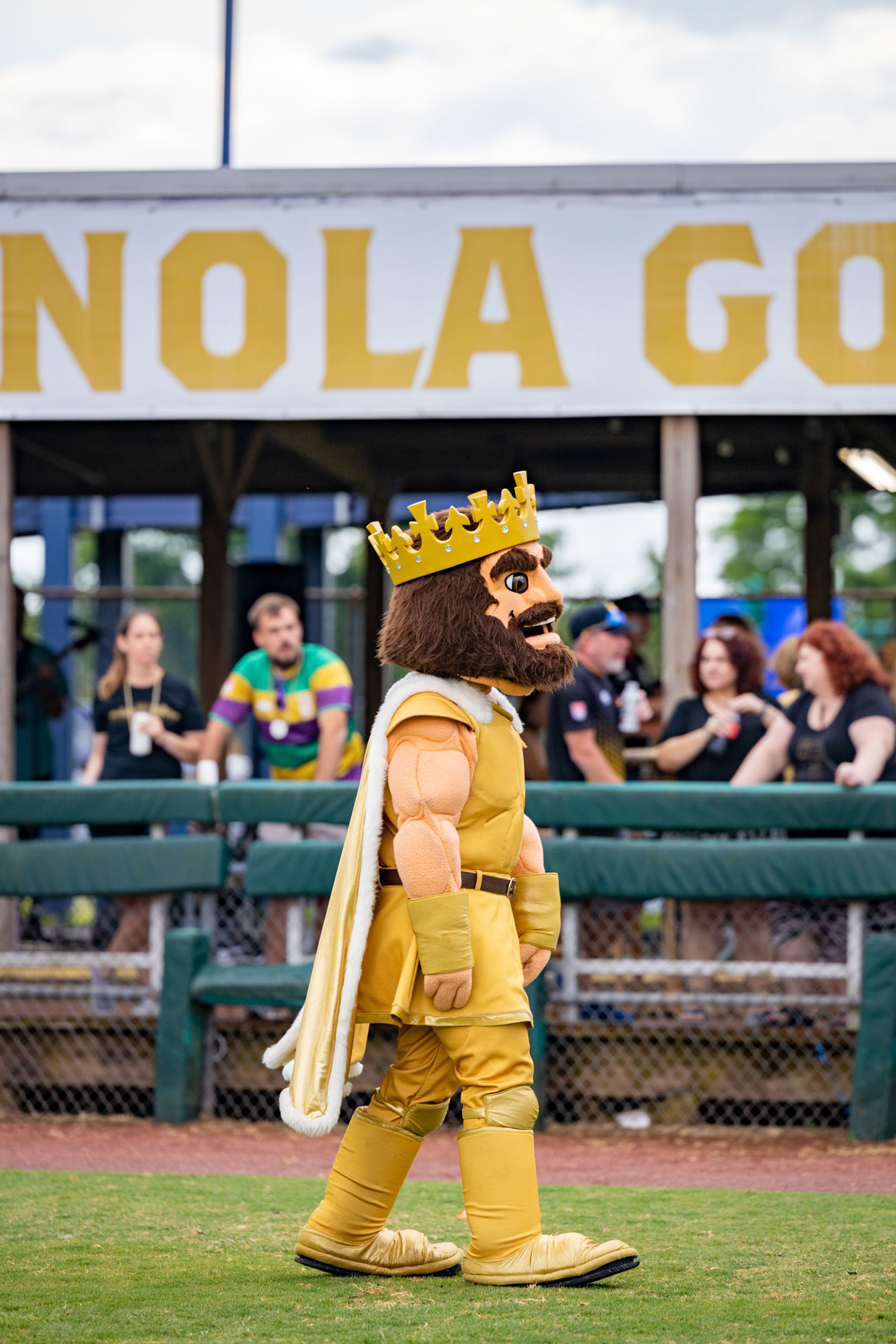 Group tickets nola gold rugby